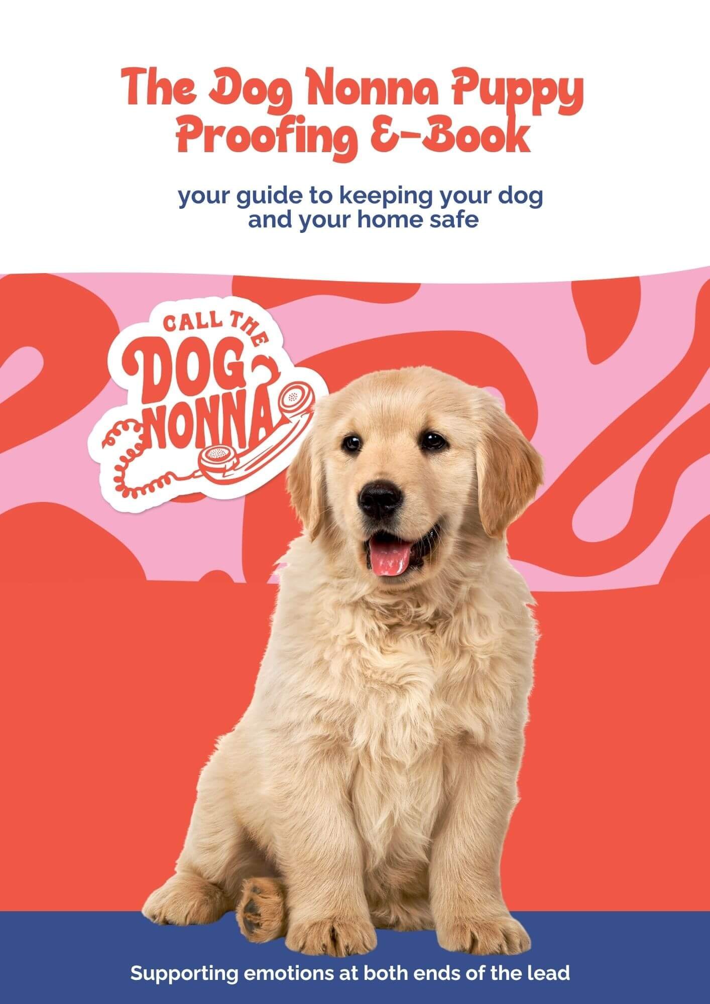 Puppy Proofing Your Home